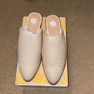 Yellow box Lenton mule